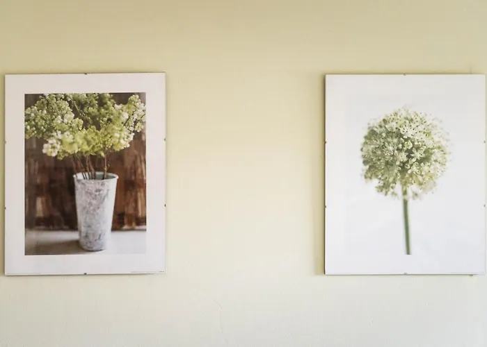 Nerida's-traditional 3 Bedroom Townhouse-bbq-view